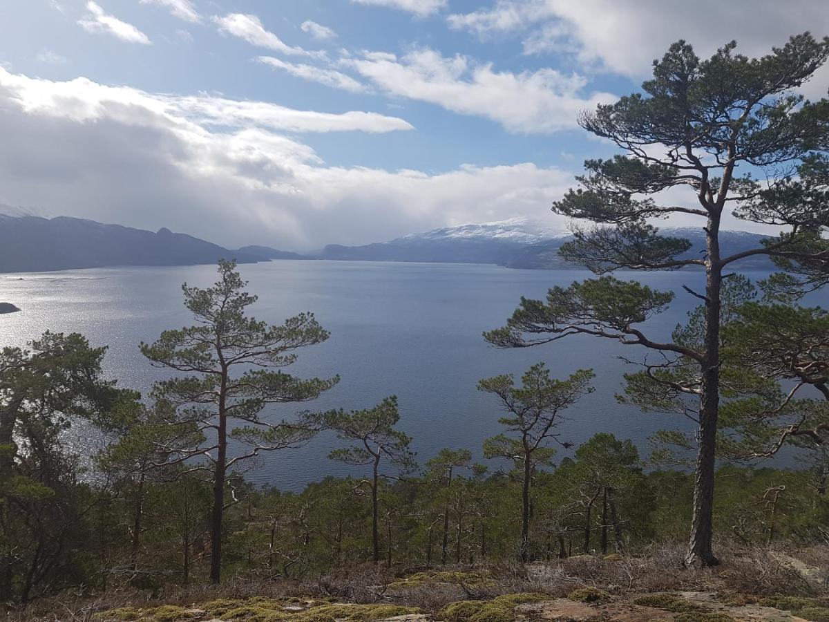 Apartment Treehut, Nature, Birds, Silence And Fjord *
