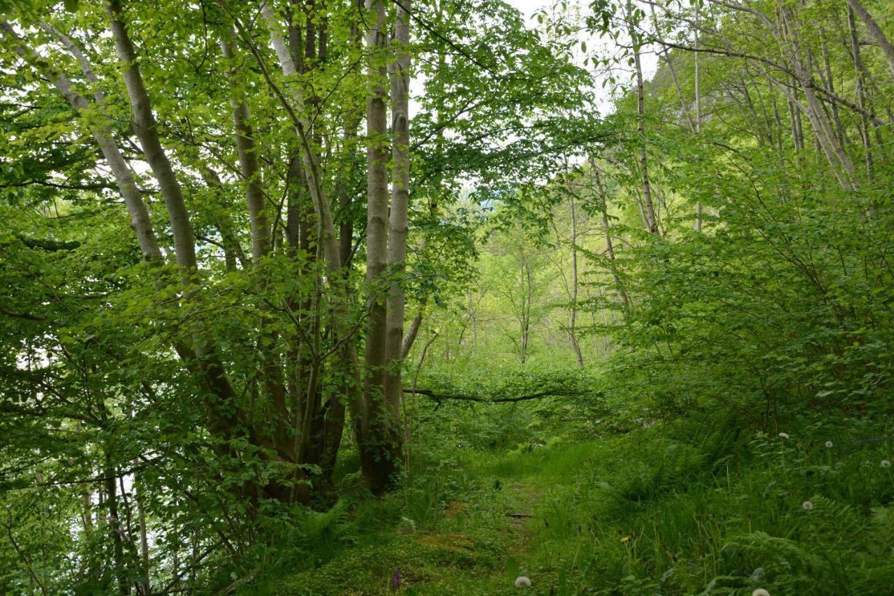 Treehut, Nature, Birds, Silence And Fjord Apartment Herand