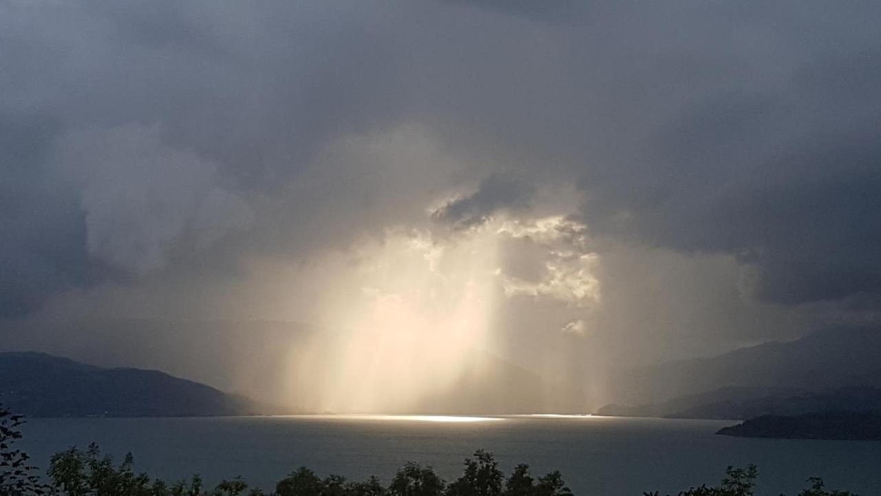 Treehut, Nature, Birds, Silence And Fjord * Herand