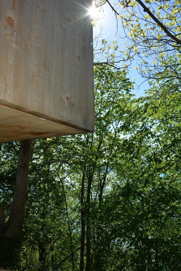 Treehut, Nature, Birds, Silence And Fjord * Herand