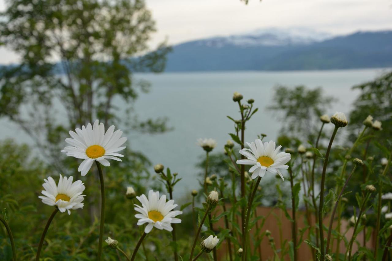 Apartment Treehut, Nature, Birds, Silence And Fjord Herand