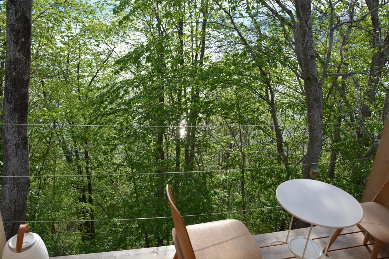 Treehut, Nature, Birds, Silence And Fjord *