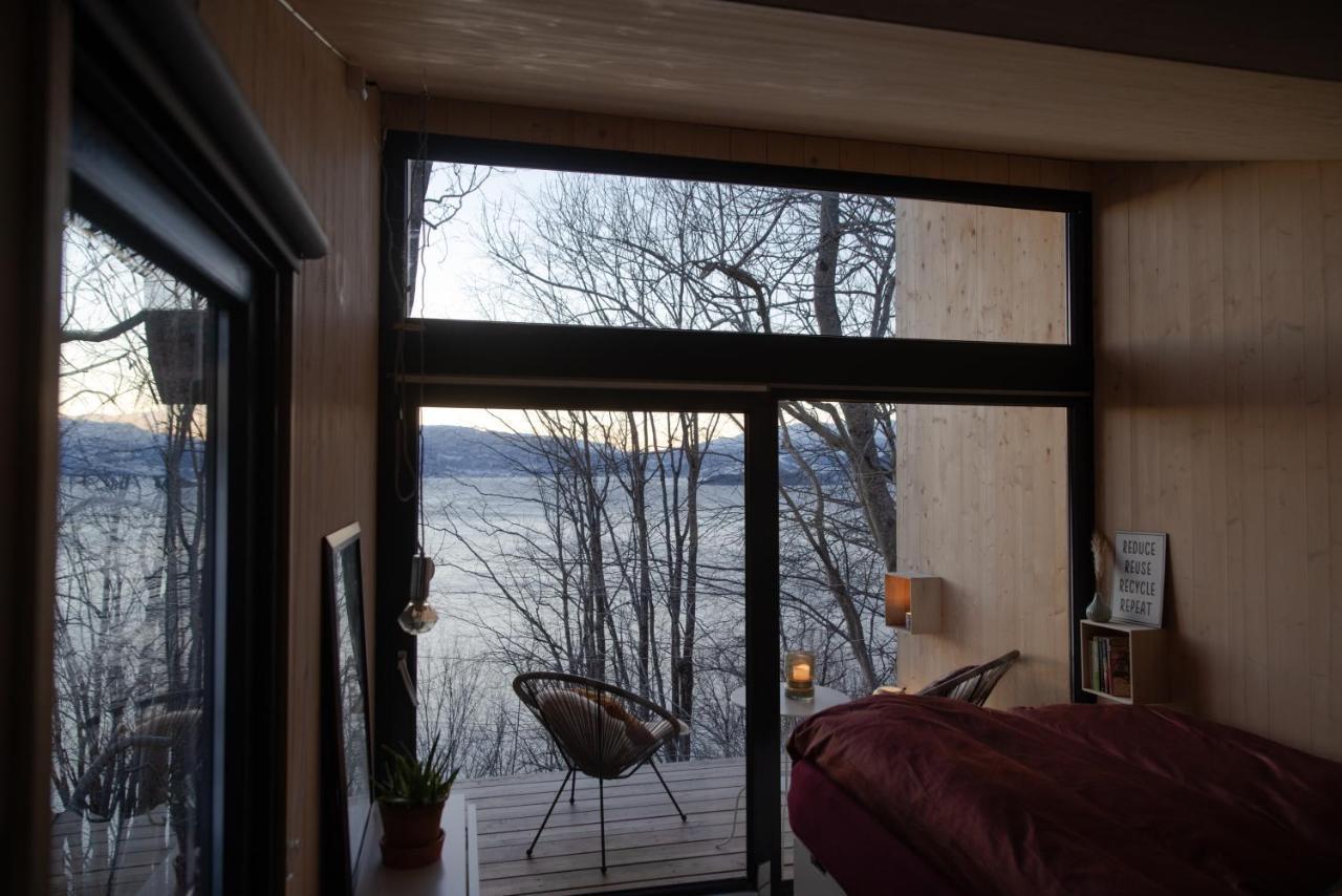 Treehut, Nature, Birds, Silence And Fjord *