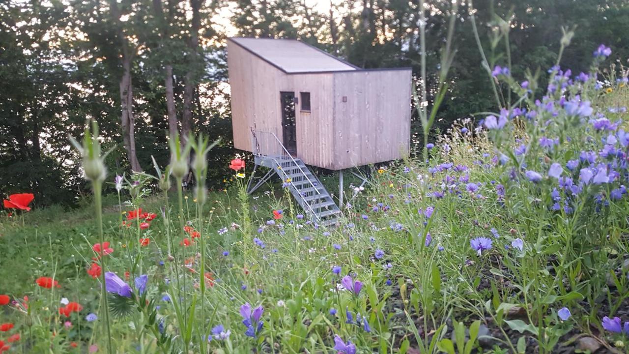 Treehut, Nature, Birds, Silence And Fjord Apartment