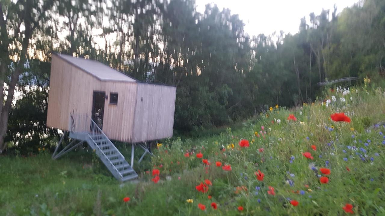 Treehut, Nature, Birds, Silence And Fjord *