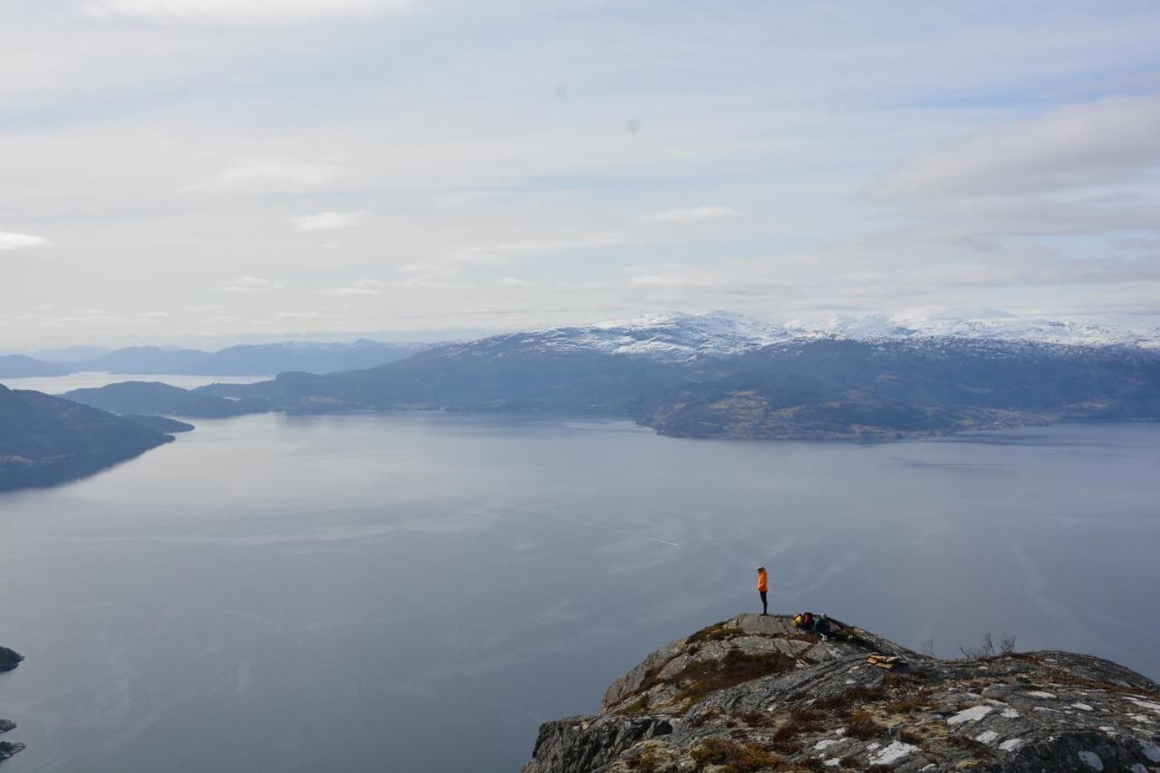 Treehut, Nature, Birds, Silence And Fjord * Herand