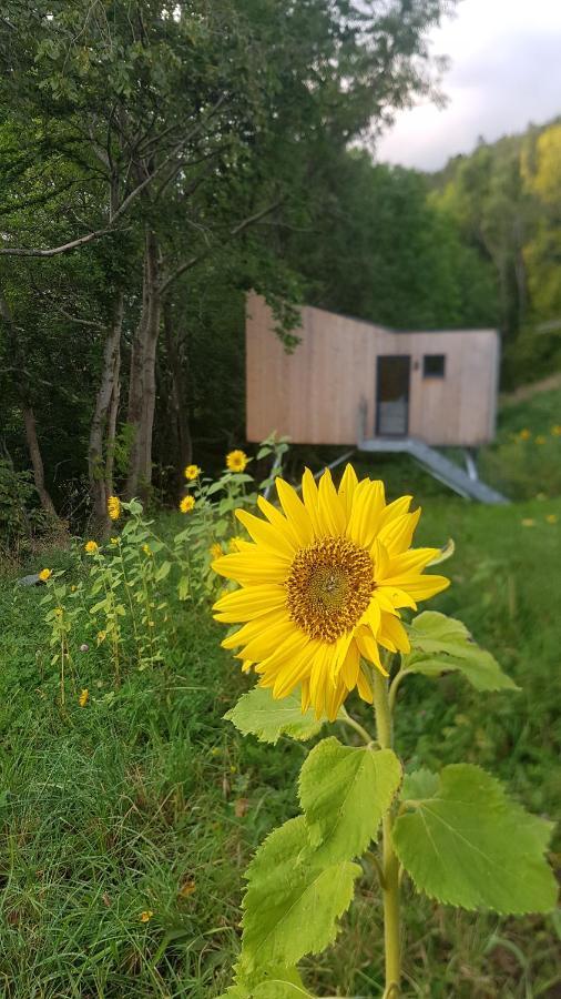 Apartment Treehut, Nature, Birds, Silence And Fjord Herand